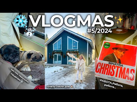 VLOGMAS 2024☃️*5 Рабочие и ДОМАШНИЕ будни декабря, ПРЕДновогодняя суета и много работы