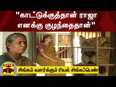 “காட்டுக்குத்தான் ராஜா... எனக்கு குழந்தைதான்“.... சிங்கம் வளர்க்கும் ரியல் சிங்கப்பெண்
