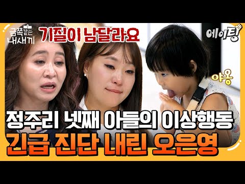 [#에이팅] 정주리 넷째 아들, 형 폭행에 기이한 행동 반복까지?! 결국 긴급 진단 내린 오은영 | #금쪽같은내새끼 252회
