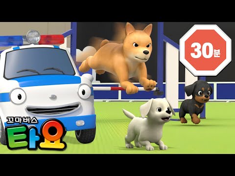 타요의 테마극장 7기🎞️ l 15화 귀여운 동물 친구들 l 강아지 고양이와 놀아요 l 타요 인기 본편 l 꼬마버스 타요