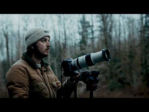 Filming Eagles in the Pacific Northwest