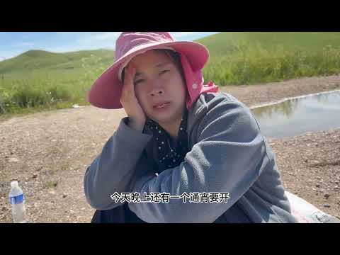 有人花重金请我们搬家过去没成想出师不利一路上也是困难重重 养蜂人 蜂蜜 迁徙 追花采蜜