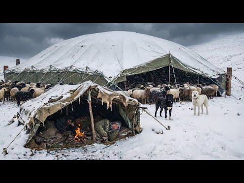 Surviving shepherd life in one of the coldest regions of Afghanistan|A snowy freezing winter morning