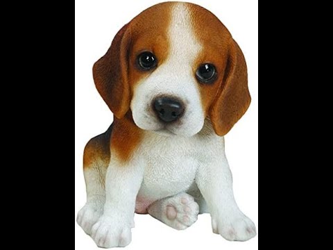 Adding images to a Phoenix application