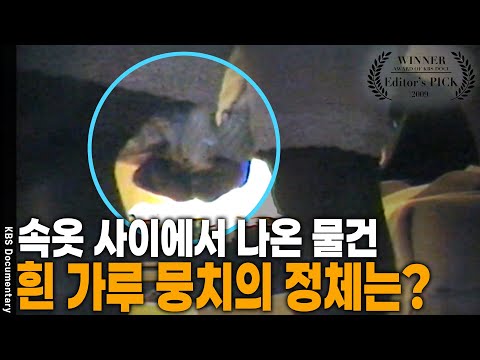 A container suddenly lowered, revealing cigars worth 1.5 trillion won! An exclusive look at the s...