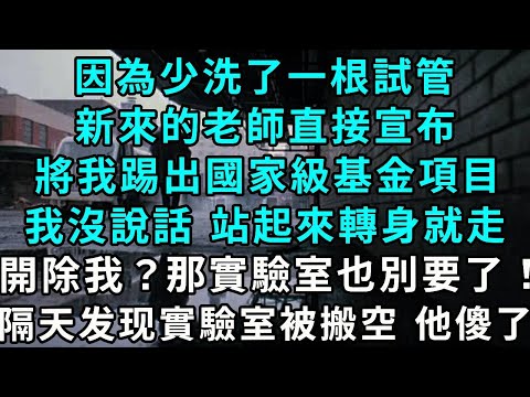 因為少洗了一根試管 ，新來的老師宣布，將我踢出國家級基金項目，我沒說話 站起來轉身就走，開除我？那實驗室也別要了！隔天實驗室被全搬空 他傻了