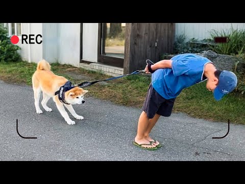 鏡頭裏的他們總是懷疑、自己養的究竟是個什麽東西！！！ ( _ _)ﾉε:)