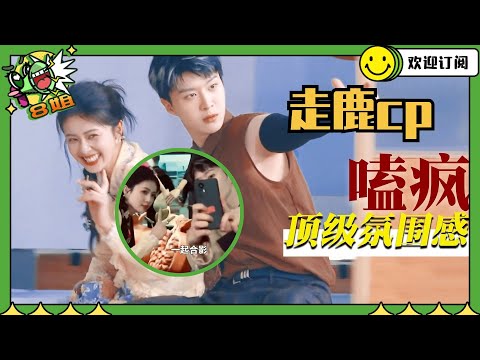 【白鹿X范丞丞】走鹿～解锁新昵称 我也不想磕 可是他一直叫她鹿鹿诶 | 8姐就爱扒八叭