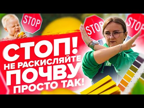 НЕ ТОРОПИТЕСЬ ВНОСИТЬ ДОЛОМИТОВУЮ МУКУ! Что такое кислотность почвы и как определить рН