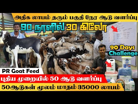 50ஆடுகள் மூலம் மாதம்35000ரூ சம்பாதிக்கலாம்/புதியமுறையில் பகுதிநேரம்ஆடுவளர்க்கும் இளைஞர்.#prgoatfeed