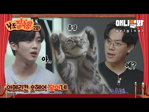 Concerns WEi Have Now That They Are Cat Butlers