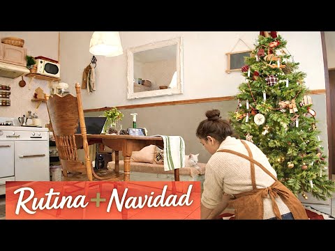 Simple routine in a small house and the start of Christmas 🎄