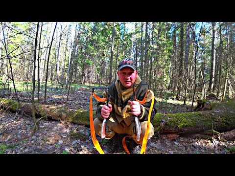 Гаффы древолазы от Лесного жителя часть 2.