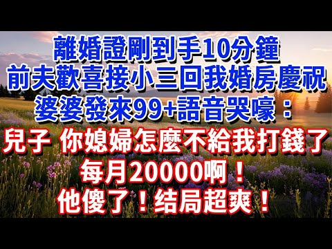 離婚證剛到手10分鐘，前夫歡喜接小三回我婚房慶祝，婆婆發來99+語音哭嚎：兒子，你媳婦怎麼不給我打錢了，每月20000啊！#小魚故事會#為人處世#人生感悟#中老年生活