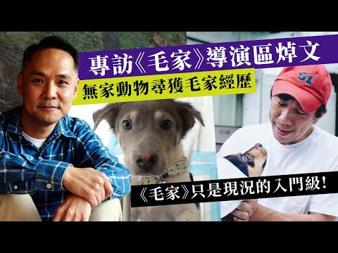 堅離地‧講電影｜《毛家》只是現況的入門級｜一切都是人的問題！導演區焯文分享所見所聞紀錄｜無家動物尋獲毛家經歷｜彰顯毛孩義工的無私與光輝
