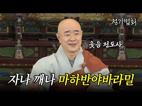 [#월호스님] 나는 원래 크고 밝고 충만하다 #정기법회