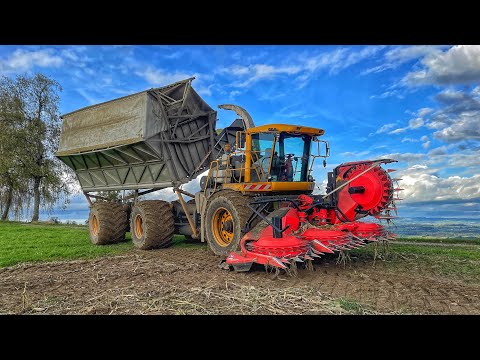 Claas Jaguar MEGA COMBINE for silage, UKRAINIAN on a Farm in Switzerland