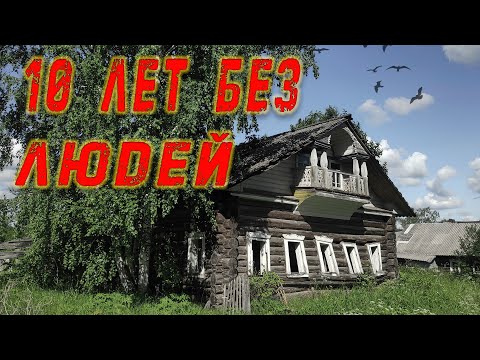 Секреты ЗАБРОШЕННЫХ ДЕРЕВЕНЬ, Вологодская область, край лесов, боль и рек!