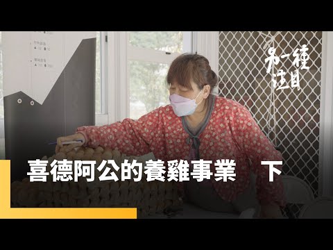 《喜德阿公的養雞事業(下)》老來有成，一顆蛋也能撐起一片天｜另一種注目 #鏡新聞