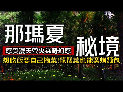 讓你感動一輩子美景❗漫天螢火蟲的奇幻感❗上山想吃飯要自己拔菜｜龍鬚菜窯烤麵包｜最夢幻的日本神社鳥居｜那瑪夏❌高雄｜TAIWAN｜