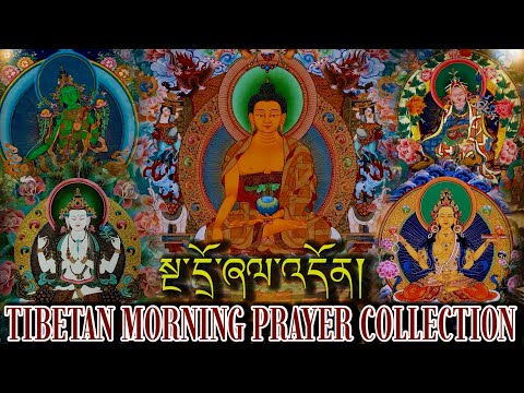 ☸Tibetan Morning Prayer Collection(སྔ་དྲོ་ཞལ་འདོན།) दैनिक बिहानी साधना