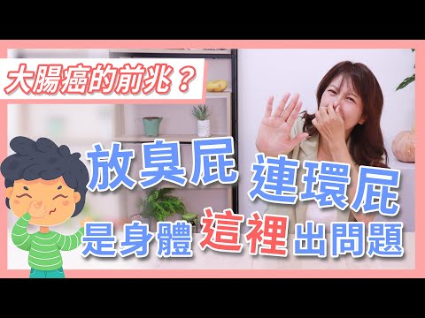 放屁、臭屁、連環屁是身體這裡出問題？大腸癌的前兆？吃這些食物解決放屁窘境 解屁食物公開｜李婉萍營養師