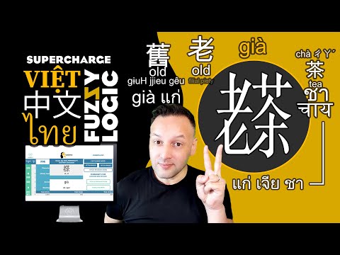 㗂越 Supercharge Learning Vietnamese with Chinese and Thai Fuzzy Logic | Tiếng Việt ไทย 中文