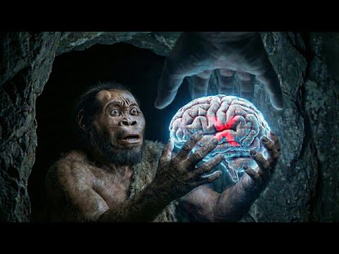 DER MENSCHLICHE CODE: Die unsichtbare Macht, die uns das eigene Fleisch verbot