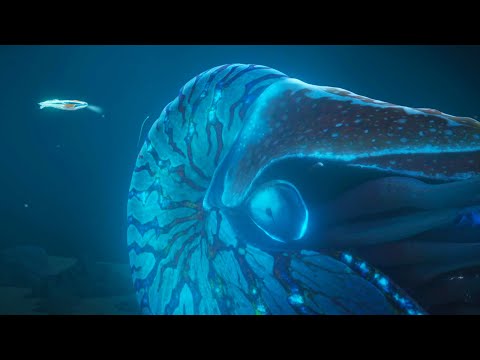 The Inside Story | The Deep Season 4 🦈 Ep 13 | HD Full Episode