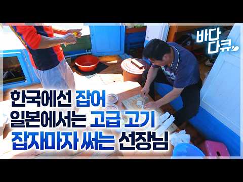 Now, it's not even available in Korea, so you can't eat it! The captain coolly slices the juicy, ...