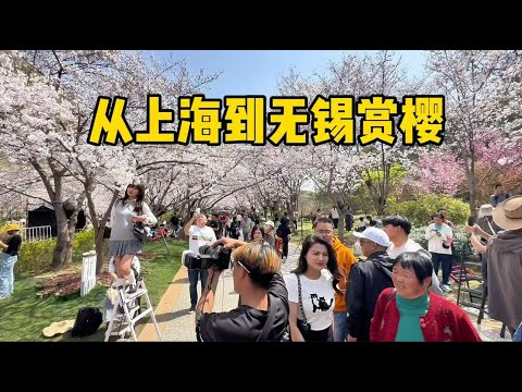 从上海到无锡旅游，鼋头渚赏樱、吃当地美食，用deepseek推荐2天1晚行程（上）