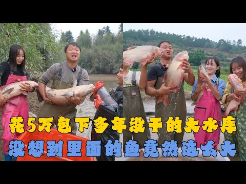 花50000元包下塘主多年没干的大水库，没想到里面的鱼竟然这么大？｜带表妹包下老爷爷的鱼塘，没想到竟然有这么大的草鱼？｜#户外抓鱼 #户外捕鱼 #大表哥抓鱼 #乡村生活 #农村生活
