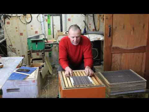 Новый изолятор часть 2 долгоживущая пчела