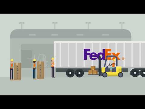 What Happens After You Order a Lori Bed?