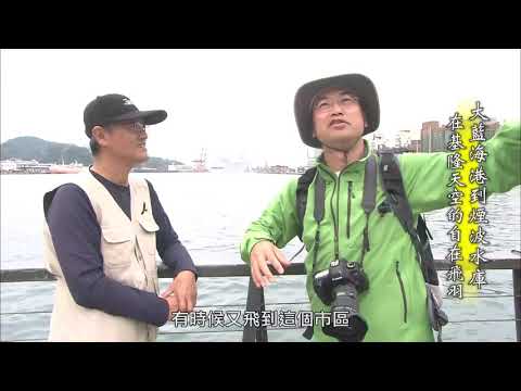 【台灣誌 #719】大藍海港到煙波水庫 在基隆天空的自在飛羽_20160417