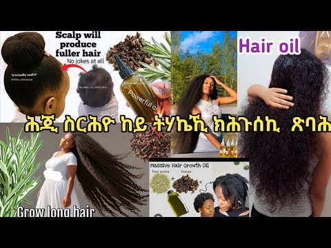 #እዚ  እቲ ትክክለኛ ኣሰራርሓ ዘይቲ ናይ ጸጉርና ኣብ ገዛ# ከይ ተሃኬና ብኸምዚ ኣገባብ ንስርሓዮ እዚ ዩ ብኹቡር ዝሽየጥ ዘሎ#ንጸጉርና ዛውያን ጥዕናን ❤️