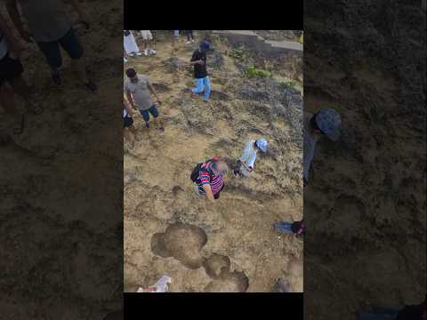 Sun, Sea, and Serenity: Nusa Penida's Magic