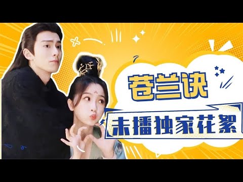 《蒼蘭訣》王鶴棣虞書欣花絮甜過正片，這是可以免費看的嗎？棣欣引力嗑瘋了