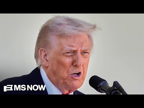 Trump calls Supreme Court 'a disgrace to our nation' after striking down his tariff policy