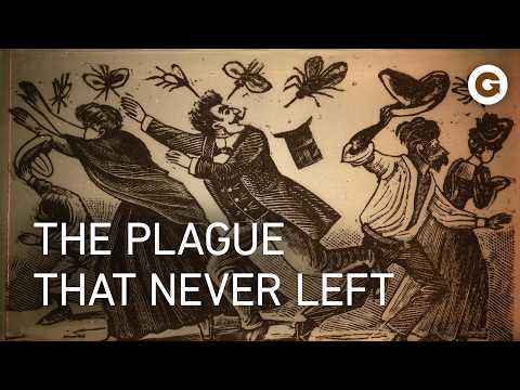 Malaria’s Comeback? The Global Mosquito Threat | Full Documentary