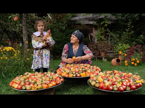 🫑 Stuffed Sweet Peppers with Cabbage and Carrots 🌿🫙