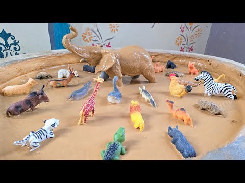 Muddy Escape Mission: Jungle, Farm, and Forest Animals in Mud Trouble