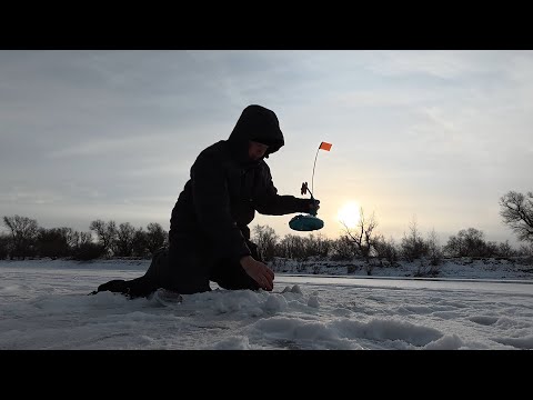 Сработка за сработкой! Зимняя рыбалка на жерлицы с ночёвкой. #рыбалка #72 #первый #лед #жерлицы #виб