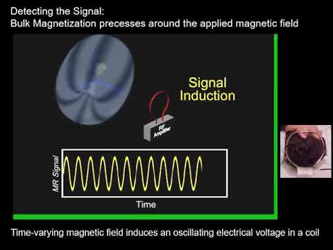 Kucharczyk    Basic MRI Physics Nov 2 2020