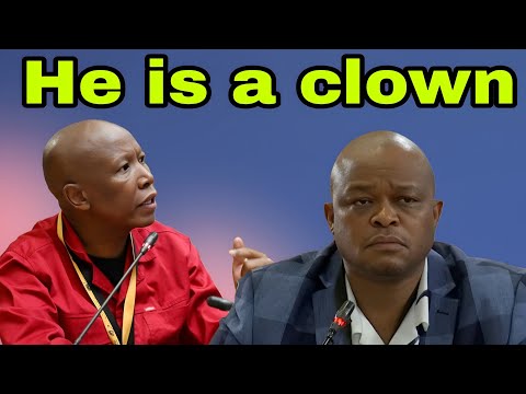 Julius Malema calls Brown Mogotsi a Clown who needs help in the head.