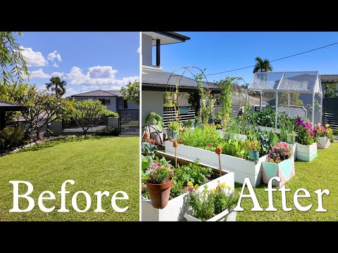 I turned my front yard into a food forest in 6 Months