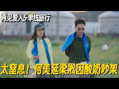 太窒息！梁淞颠倒黑白和何美延激烈争吵恶语相向！何美延全程好声好气 #再见爱人5 #再见爱人 #李施嬅 #倪萍 #车崇健