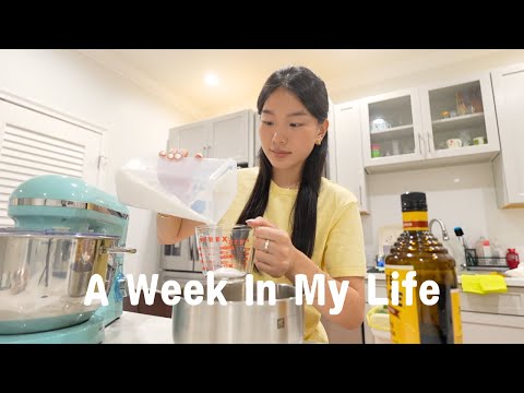 week in my life │ packing for korea, blackpink concert, dinner nights w friends, making tiramisu!