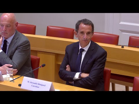 Le PDG de Carrefour questionné au Sénat sur le passage en franchise de magasins