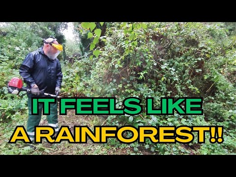 Restoring this Abandoned English Garden to Its Former Glory!